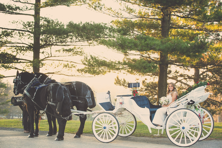 bride on horse and carriage