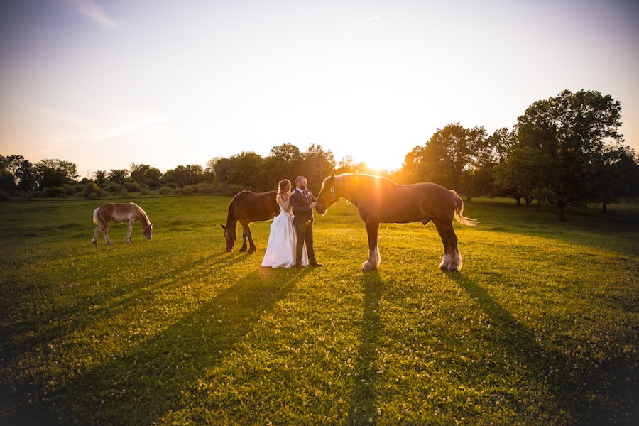 The Oakley Wedding Venue with horses at sunset