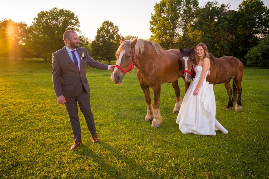 The Oakley Wedding Venue with horses