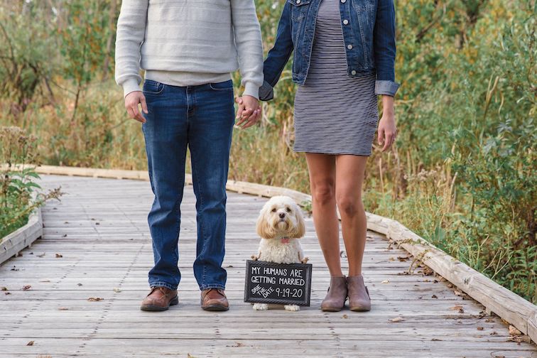 Engagement Session With Dog